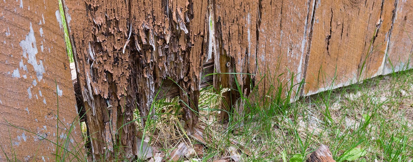 DIY Guide on How to Fix Your Rotting Fence | AAA Fences & Decks